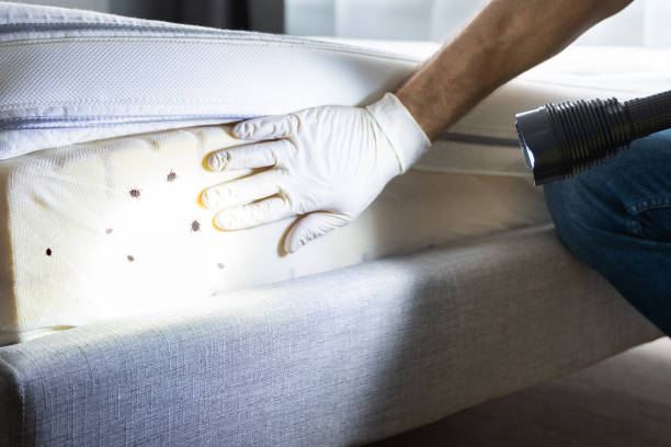 Best Flea Control Services  in Crooked River Ranch, OR