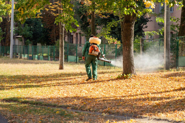 Best Mosquito Control Services  in Crooked River Ranch, OR