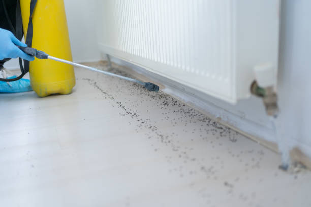 Best Local Pest Control Services  in Crooked River Ranch, OR