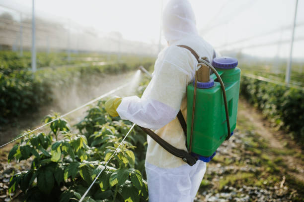 Best Best Pest Control Companies  in Crooked River Ranch, OR